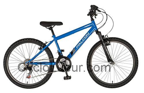 Falcon Raptor avis et fiche technique